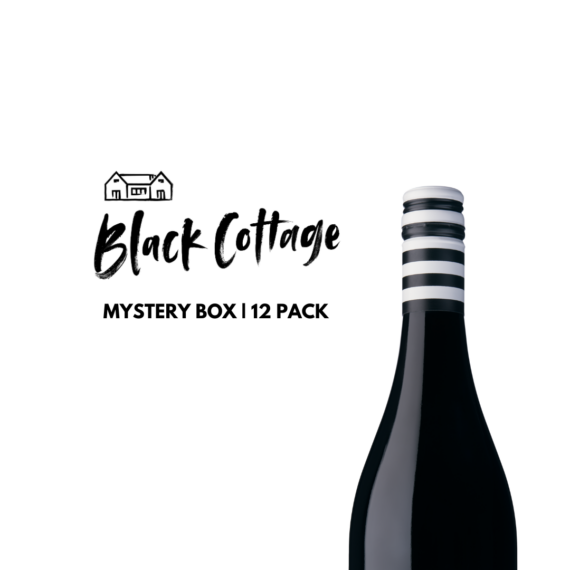 MYSTERY BOX  |  12 mixed bottle case